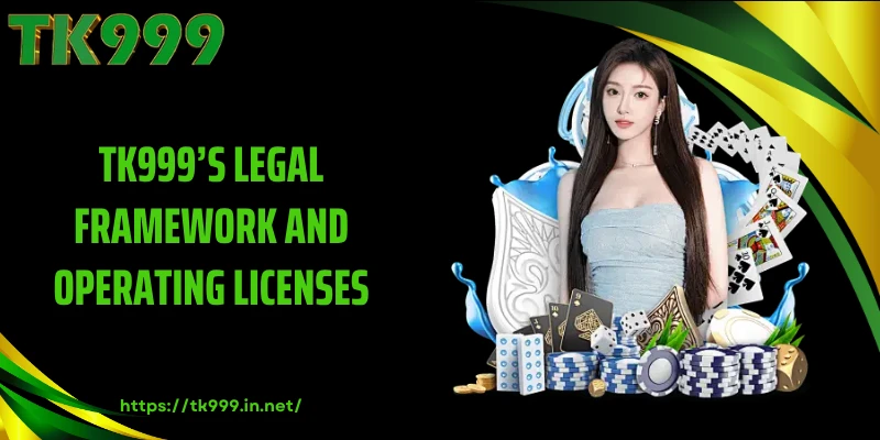 TK999’s Legal Framework and Operating Licenses
